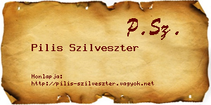 Pilis Szilveszter névjegykártya